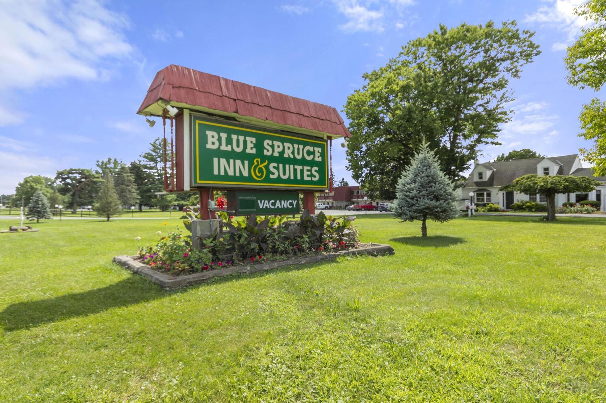 Blue Spruce Inn & Suites Valatie Zewnętrze zdjęcie